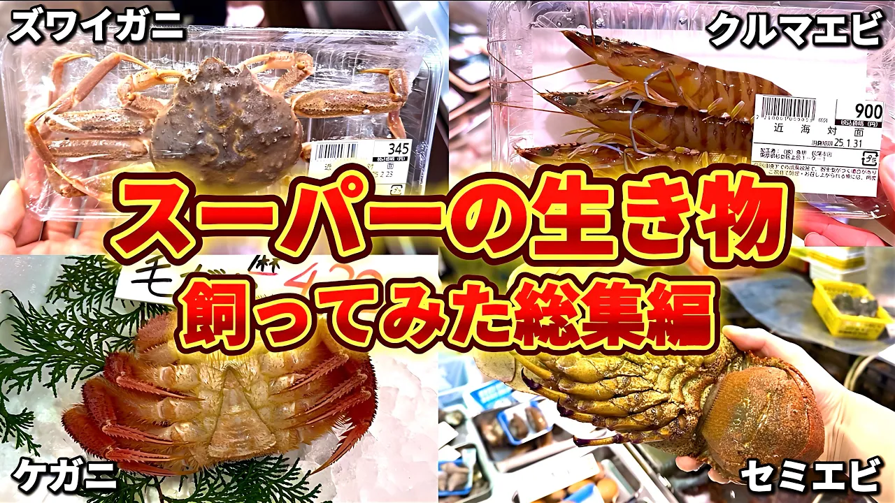 水ラーメン channel featured image