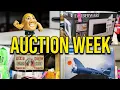 Sneak Peak of Auction Week
