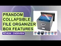PRANDOM File Organizer Box Review Stylish Collapsible Filing Solution