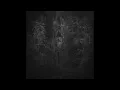 Rafael Anton Irisarri - Sacred Hatred (2022)