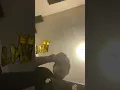 Cornelio Vega - Esta Vez Soy Yo!🔥 (En Vivo)