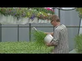 Buffalo s Best Garden Store Hi-Way Garden Center