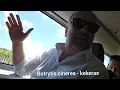 Download Lagu Visiting Illmitz vineyards with Gerhard Kracher