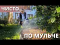 Download Lagu WHAT TO DO WITH MULCH IN ROSE GARDENS?
