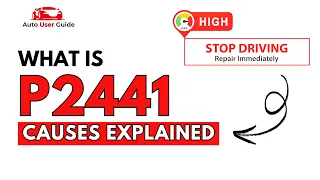 What is P2441 Engine Error Code Causes Explained