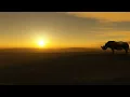 James Newton Howard - Blood Diamond