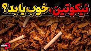 نه سیگار نه قلیان   خود نیکوتین خالص برای ما خوبه یا بد  دندنها