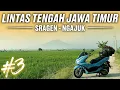 Download Lagu MATAHARI PAGI JAWA TIMUR | MARATOUR THE SERIES #3 | MSRG 2025