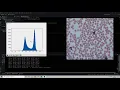 Part 1 of developing an image analysis pipeline - Thresholding an image