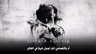 فل ترحل ياعالم لا الحب سقاني 