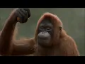 DJ GEMES KAMU MEMANG GEMES x EYA MA YEYA TIK TOK !