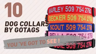 Dog Collars By Gotags Top 10 Most Popular