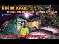 Download Lagu BIKIN KAGET..!! TENGAH MALAM DATANG HARIMAU MENGAUM || FISHING CAMPING OVERNIGHT