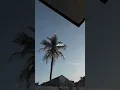 Download Lagu Biarkan Semua manusia Jadi Saksi Nyata - Lirik Fyp Tik Tok Aesthetic 2024 #fyptiktok