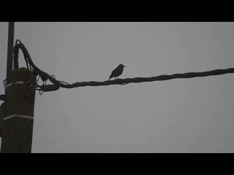 ÆTERNUM