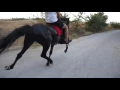 Download Lagu Aravani Aiani ...ΚΑΡΑΓΙΑΝΝΗΣ