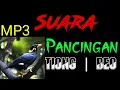 Download Lagu Suara Pancingan Burung Tiong | Beo