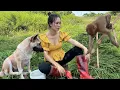Download Lagu Life of a Country Girl Alone. Hard Working day Cooking simple Country food-Ngân DaiLy Life