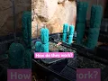 Bait Stations for Mice work SO WELL