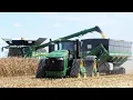Download Lagu Corn Harvest Field Demo with Auger Wagons at Farm Progress Show 2025 - All Combines Harvesting Corn