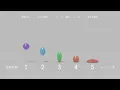 Bouncing Ball Animation