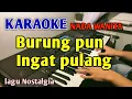 Download Lagu BURUNG INGAT PULANG - Nia Daniaty KARAOKE HD 