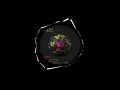 POPOF - Skylighter (Andres Campo Remix)