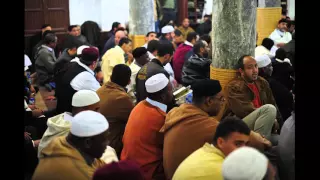 ريحانة الأرواح في مولد خير الملاح صلى الله عليه وسلم 