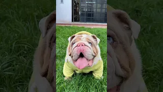 POLAR ME HUMILLÓ CUESTIONANDO MI VIDA 😔