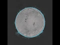 Endless Boogie - Vibe Killer