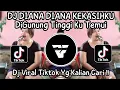 DJ DI GUNUNG TINGGI KU TEMUI || DIANA KEKASIHKU REMIX LAGU TIMUR VIRAL FYP TIKTOK TERBARU