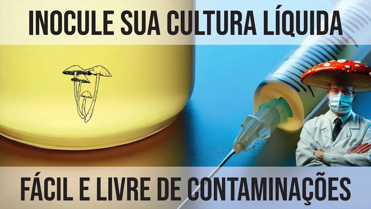 Como INOCULAR CULTURAS LÍQUIDAS Sem Contaminar - Cultivo de Cogumelos Em Casa