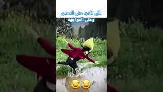 اللى قادره على التحدى وعلى المواجهه 