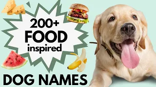 200 DOG NAMES Inspired by Food Unique Male and Female Dog Names