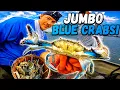 CRABBING For CHESAPEAKE BAY BLUE CRABS The CRABBING Is INCREDIBLE Right Now