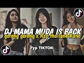Download Lagu DJ AKU PILIH MAMA MUDA X TEKI TEKI GAM SOUND KANE FYP TIKTOK