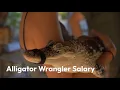 How much money do Alligator Wrangler make