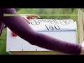 VWAQ Mailbox Decals