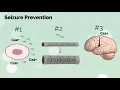 APGO Basic Sciences - Topic 14 Hypertensive Disease in Pregnancy