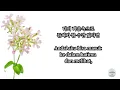 [FULL] Exhibition 전람회 - Etude of Memories 기억의 습작 (Indonesian Sub)