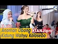 ANOMAN OBONG x KIDUNG WAHYU KOLOSEBO versi TANJIpro AKTOR MUDA MUSIK voc: All artist #