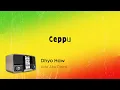 Download Lagu Dhyo Haw - Ceppu (Lirik Video)