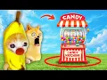 Download Lagu Banana Cat \u0026 Doge Vs. The Magical Candy Machine 🍬🐶🐱 Banana Cat Compilation | Happy Cat Crying MEME 😿