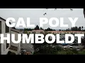 Cal Poly Humboldt Campus Tour Spring vs Winter Cinematic 4K