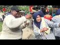 Download Lagu PENGANTEN BARU /TEMOAN -VOC.WULAN || PUTRA GENADES LIVE IN SUKAMAJU  || EDISI 17 -MEI -2022