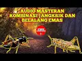 Lagu AUDIO MASTERAN KOMBINASI JANGKRIK DAN BELALANG EMAS @habebkicau3064