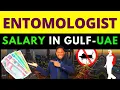 Entomologist Salary I Pest Control Technician job Salary in UAE I Entomology jobs salary