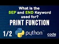 Importance of the SEP and END Keywords in Python Programming