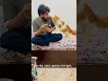 Download Lagu billu bahut😂🤣😂😂 #catcomedy #cat #catvideo #viralcat