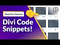 New Divi Feature Introducing Divi Code Snippets